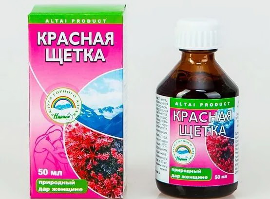 Красная щетка при сахарном диабете: полезные свойства растения Красная щетка при сахарном диабете: полезные свойства растения