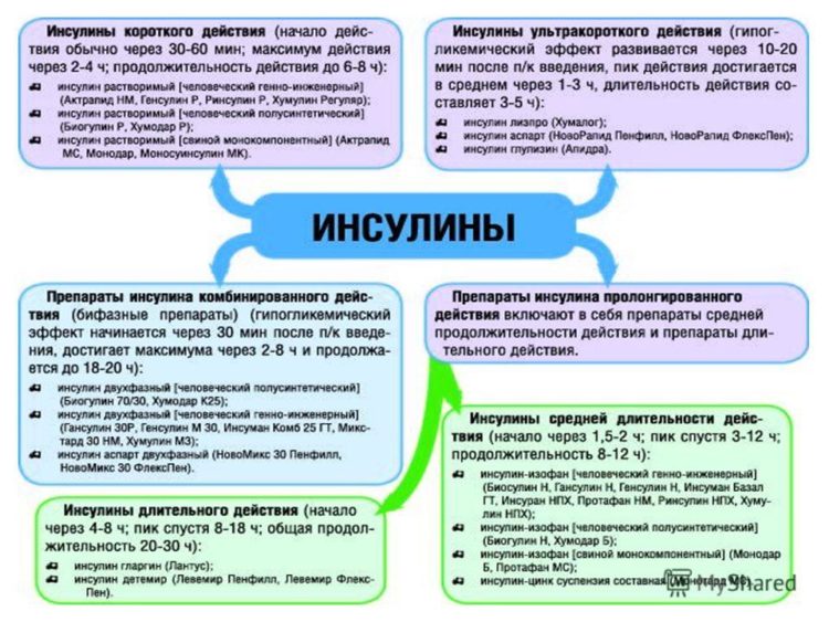 Принципы применения инсулина короткого действия и инсулина длительного действия