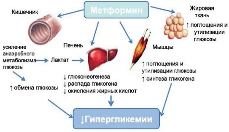 Показания к применению препарата Метформин Показания к применению препарата Метформин