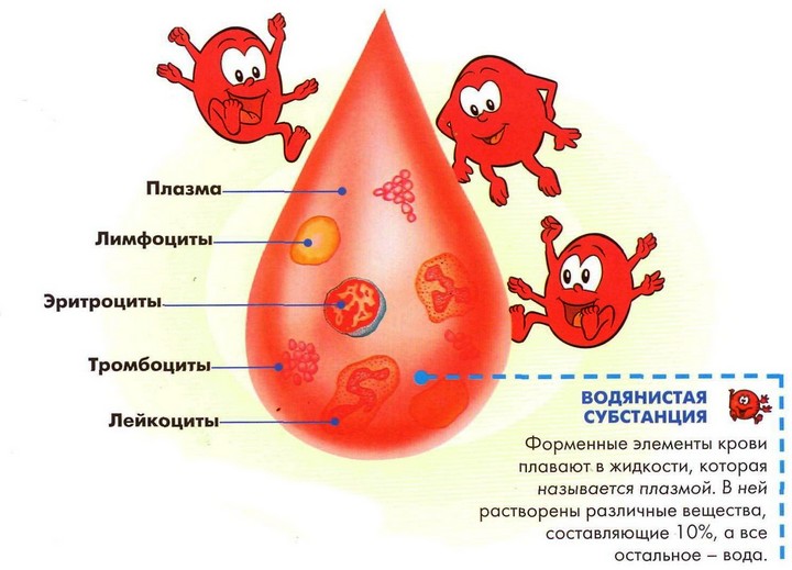 Норма гликированного гемоглобина по возрасту Норма гликированного гемоглобина по возрасту