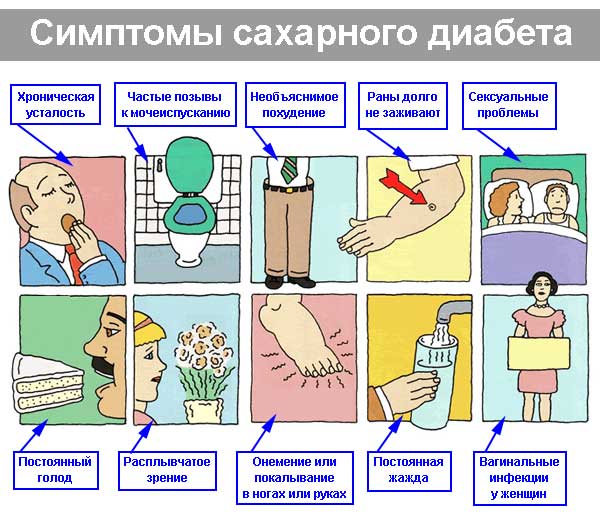Расшифровка результатов биохимии крови на глюкозу Расшифровка результатов биохимии крови на глюкозу