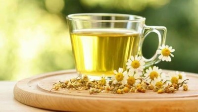 Травы понижающие сахар в крови при диабете: эффективные народные средства Травы понижающие сахар в крови при диабете: эффективные народные средства