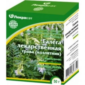 Козлятик (галега) при сахарном диабете: польза, как приготовить Козлятик (галега) при сахарном диабете: польза, как приготовить