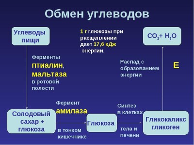 Норма уровня сахара в крови у детей Норма уровня сахара в крови у детей