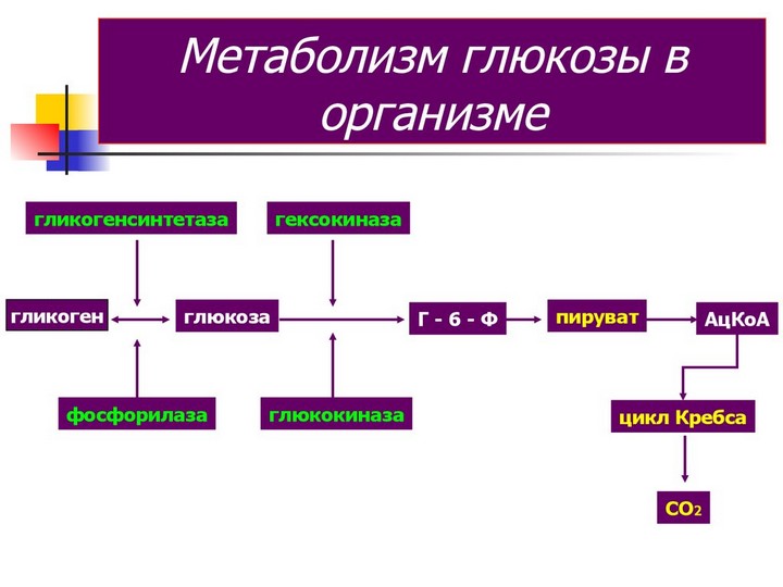 Нормальный уровень глюкозы в крови Нормальный уровень глюкозы в крови