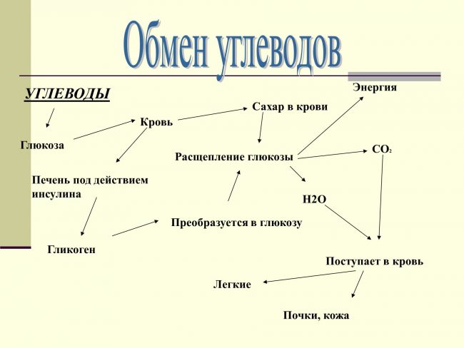 Популярные гипогликемические препараты и их аналоги