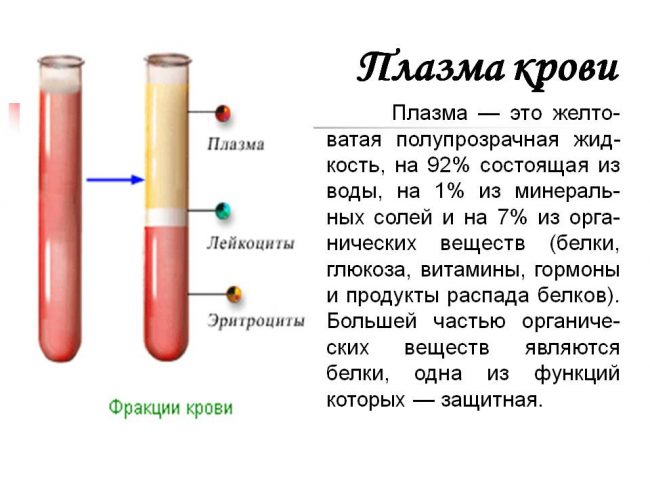 Норма глюкозы в плазме крови Норма глюкозы в плазме крови