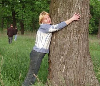 Кора осины при сахарном диабете 2 типа: лечебные свойства