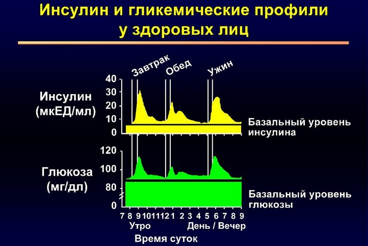 Инсуман Рапид и его особенности Инсуман Рапид и его особенности