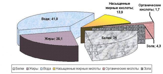 Можно ли есть сыр при сахарном диабете? Можно ли есть сыр при сахарном диабете?