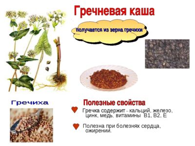 Гречка при сахарном диабете: можно ли есть? Гречка при сахарном диабете: можно ли есть?