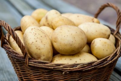 Можно ли есть картофель при сахарном диабете 2 типа? Можно ли есть картофель при сахарном диабете 2 типа?