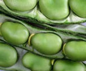 Что можно и нельзя кушать при повышенном сахаре в крови - правильное питание